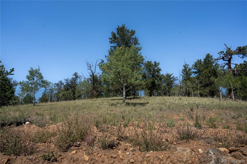 530 Gitche Goone Ln, Como, CO 80432