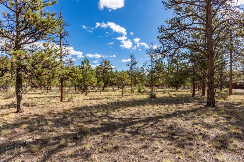 30664 Gray Jay Draw Lot 27, Buena Vista, CO 81211
