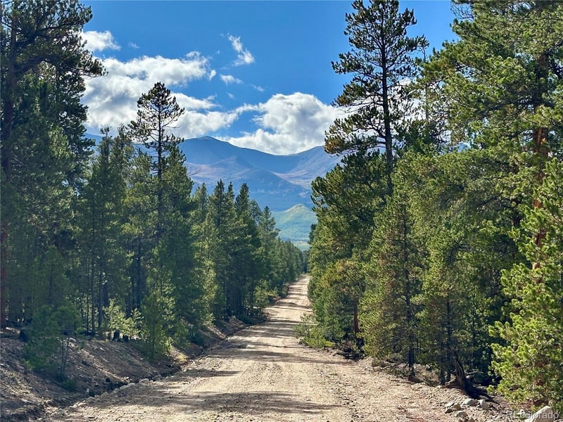 143 Fir Dr, Leadville, CO 80461