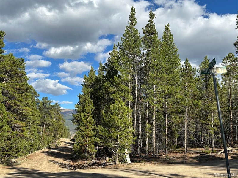 143 Fir Dr, Leadville, CO 80461