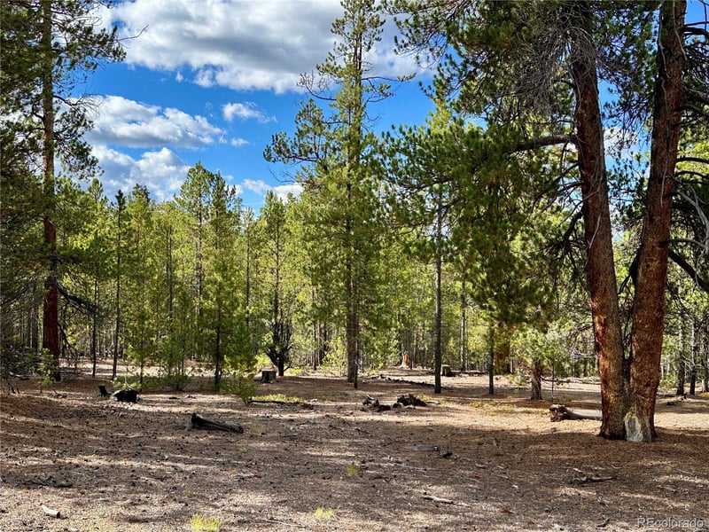 143 Fir Dr, Leadville, CO 80461