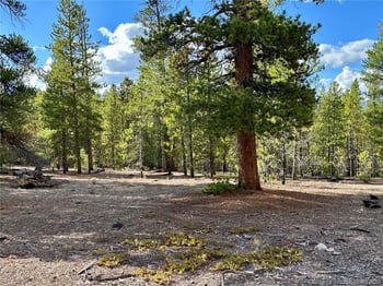 143 Fir Dr, Leadville, CO 80461