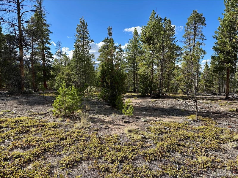 143 Fir Dr, Leadville, CO 80461