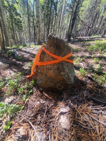 01 Spring Gulch Rd, Idaho Springs, CO 80452