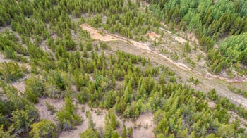 Beaver Rd, Idaho Springs, CO 80452