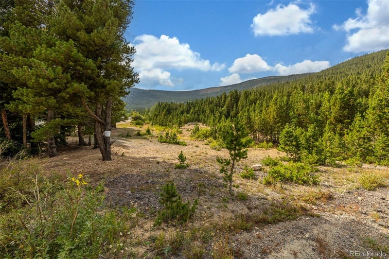Beaver Rd Lot 653, Idaho Springs, CO 80452