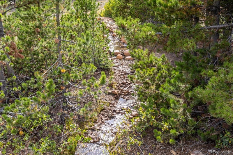Beaver Rd Lot 653, Idaho Springs, CO 80452