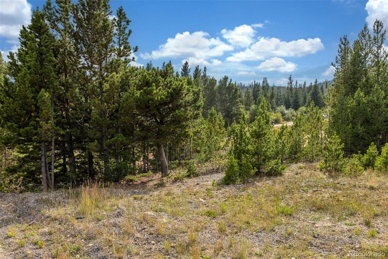 Beaver Rd Lot 653, Idaho Springs, CO 80452