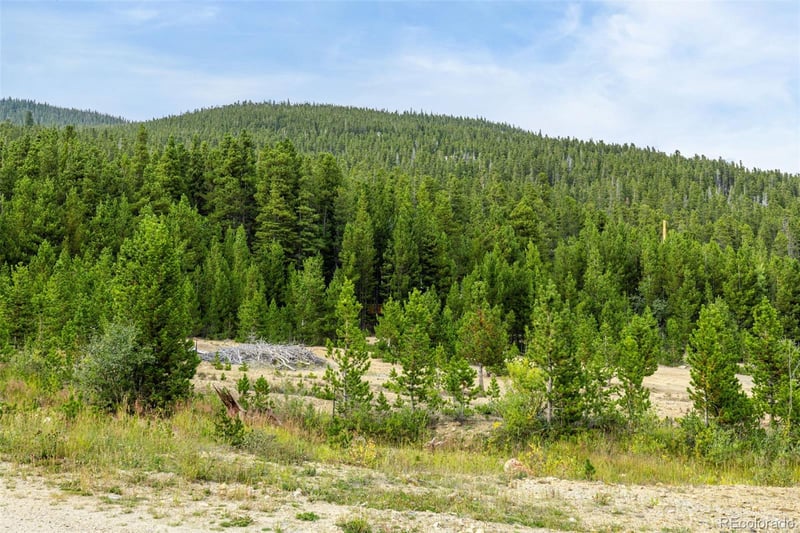 Little Creek Rd Lot 654, Idaho Springs, CO 80452
