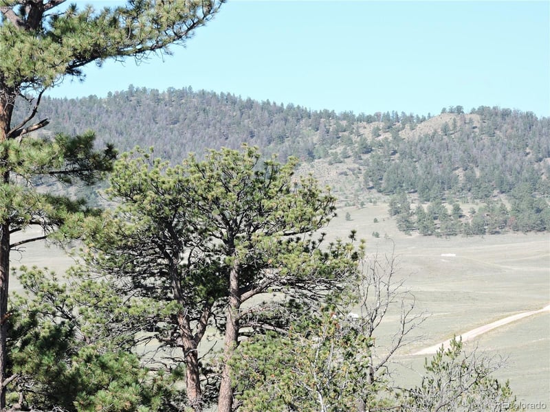 640 Arapaho Trl, Hartsel, CO 80449