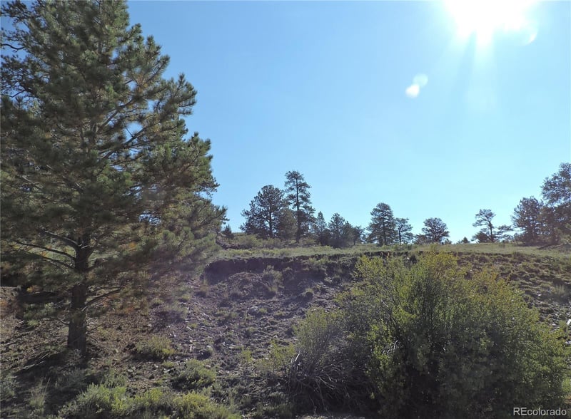 640 Arapaho Trl, Hartsel, CO 80449