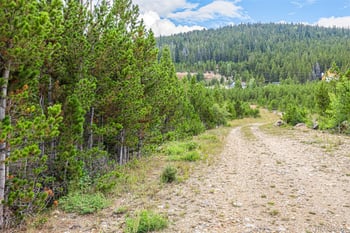 Aspen Rd, Idaho Springs, CO 80452