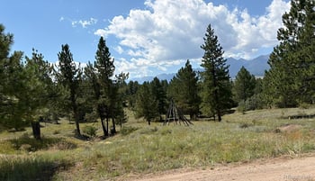 278 Blue Grouse Cir, Westcliffe, CO 81252