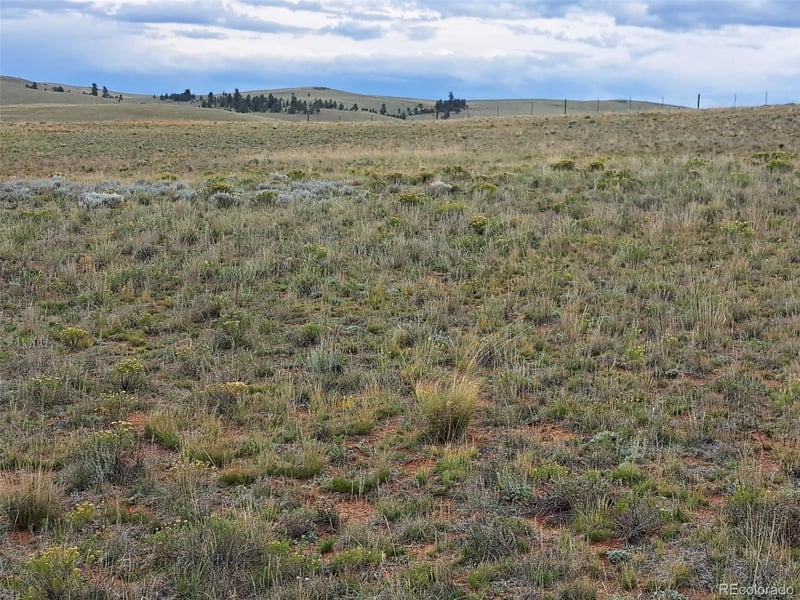 00000 Kiowa Rd, Hartsel, CO 80449