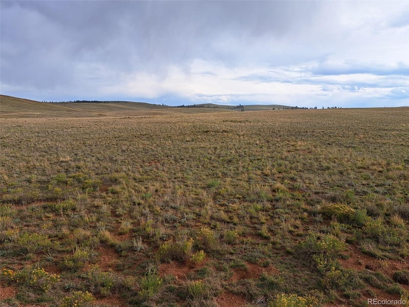 00000 Kiowa Rd, Hartsel, CO 80449
