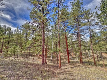 111 Sioux Trl, Westcliffe, CO 81252