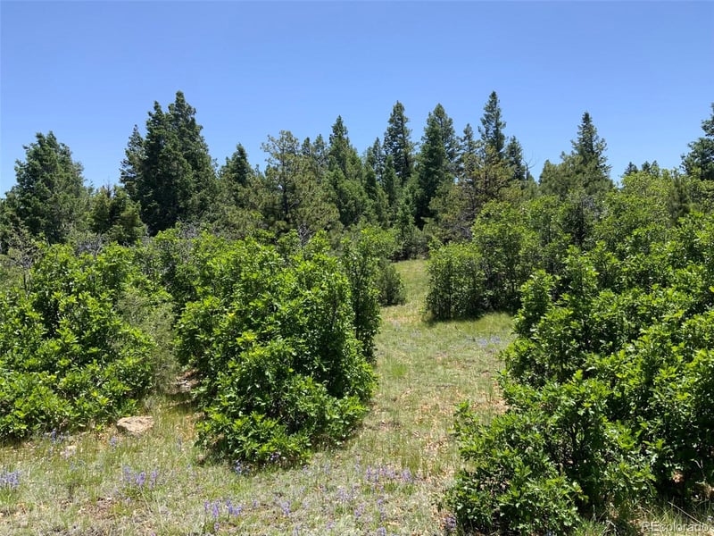 000 Peak View Rg Lot 6, Canon City, CO 81212