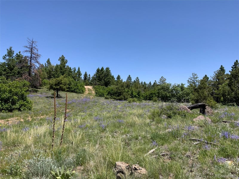 000 Peak View Rg Lot 6, Canon City, CO 81212