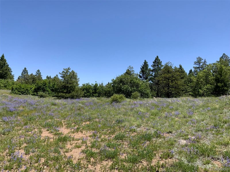 000 Peak View Rg Lot 6, Canon City, CO 81212