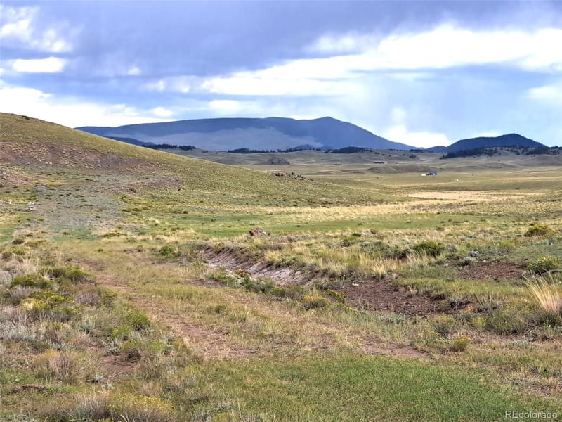 217 Black Gatto Trl, Hartsel, CO 80449