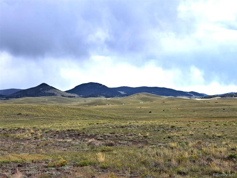 217 Black Gatto Trl, Hartsel, CO 80449