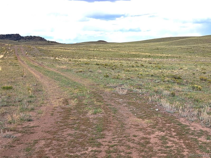 217 Black Gatto Trl, Hartsel, CO 80449