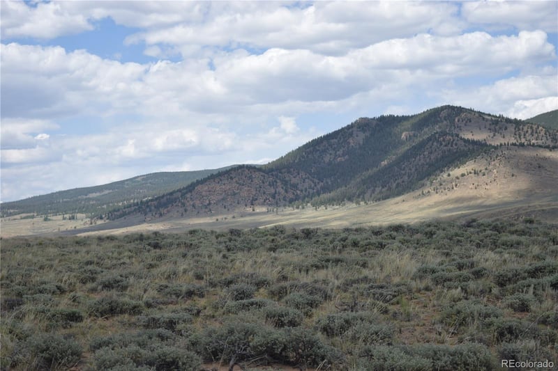 1501 County Road 30 Lost Canyon Rd, Twin Lakes, CO 81251