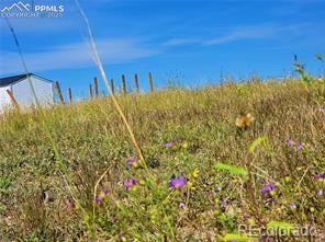23712 Redtail Dr, Colorado Springs, CO 80928