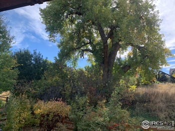 629 Deer Meadow Dr, Loveland, CO 80537