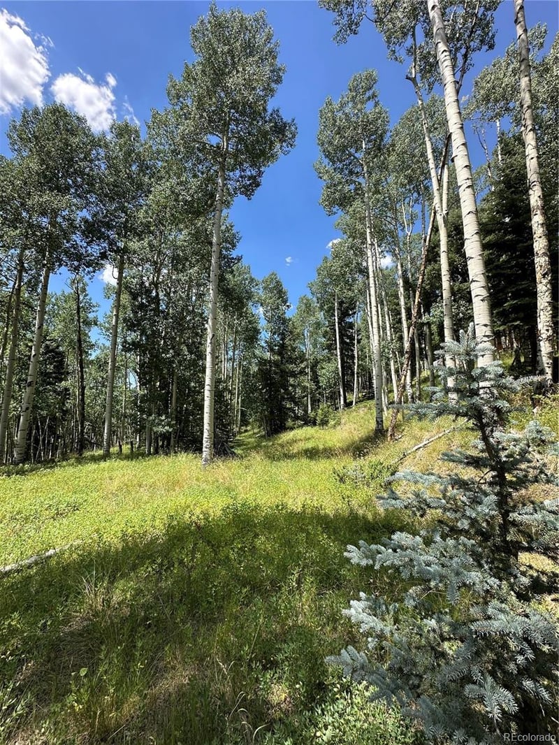 Lots 7-12 Calkins St, Jasper, CO 81132