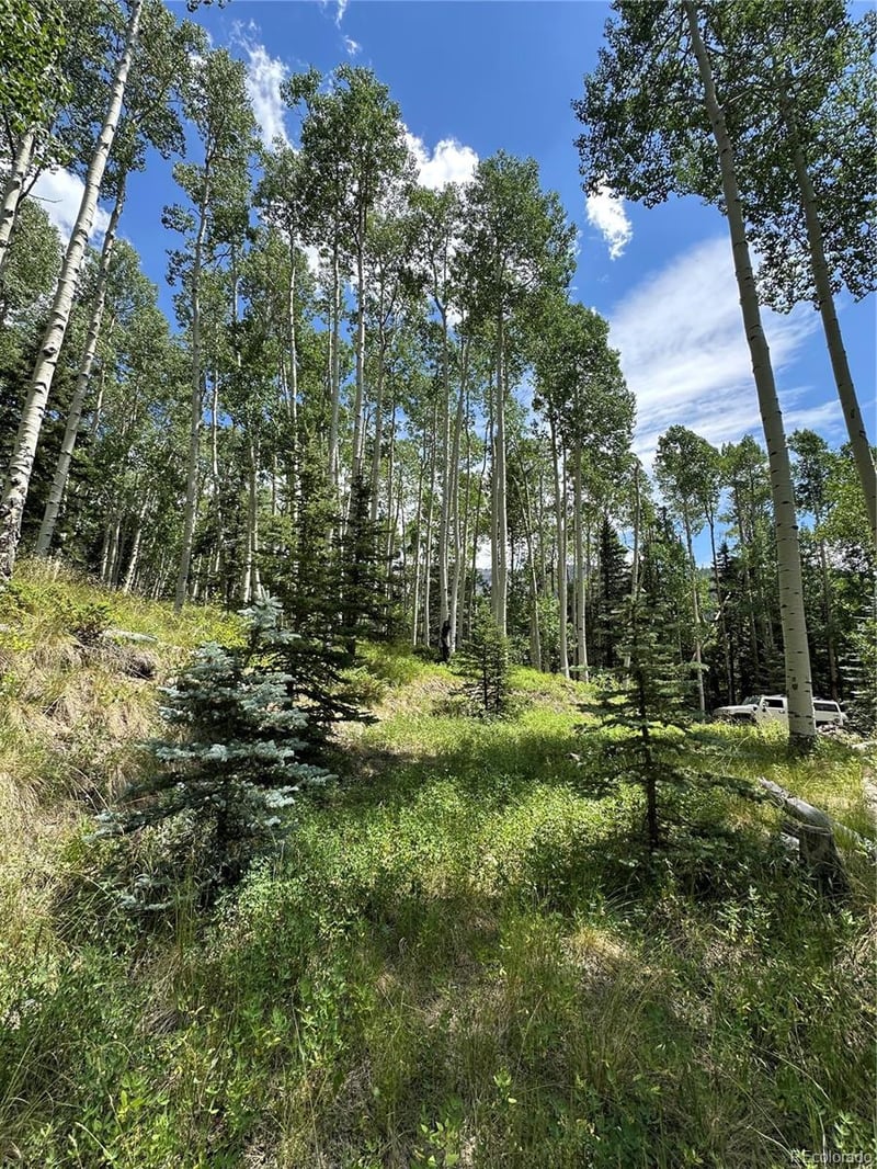 Lots 7-12 Calkins St, Jasper, CO 81132