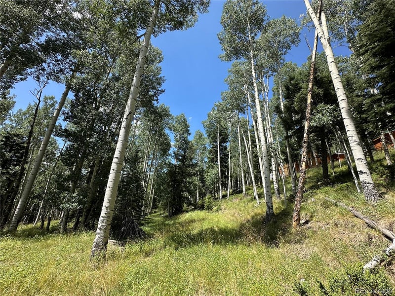 Lots 7-12 Calkins St, Jasper, CO 81132