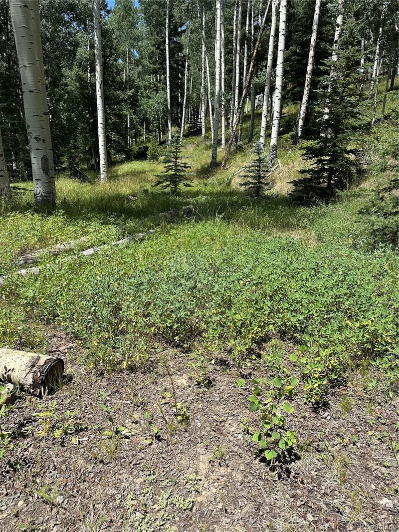 Lots 7-12 Calkins St, Jasper, CO 81132