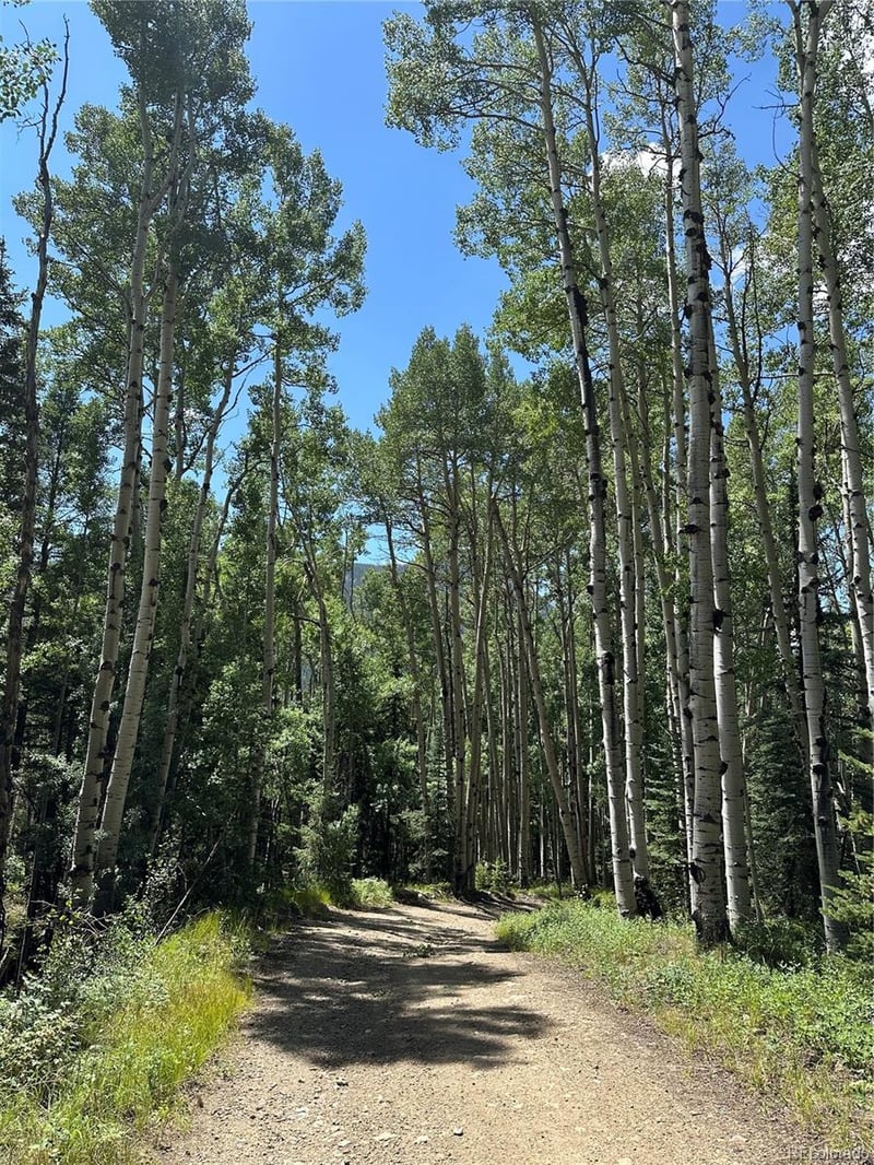 Lots 7-12 Calkins St, Jasper, CO 81132