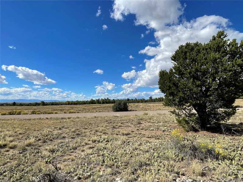 10 Brook Trout Rd, Crestone, CO 81131