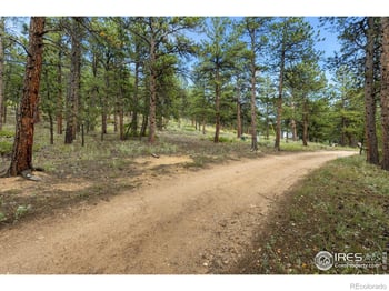 357 Big John Rd, Lyons, CO 80540