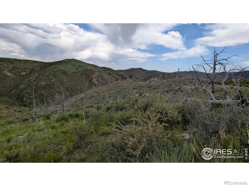 1324 Meadow Mountain Dr, Livermore, CO 80536