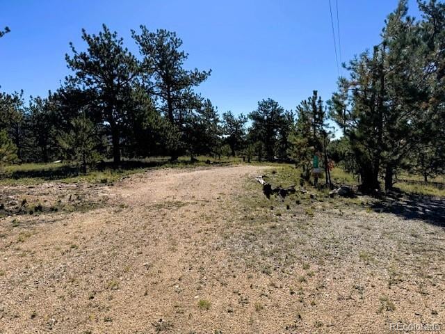 126 Zion Ct, Hartsel, CO 80449