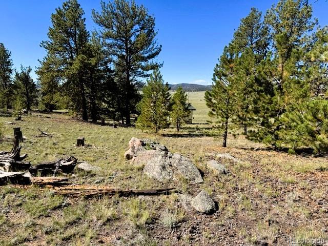 126 Zion Ct Lot 258 240 241, Hartsel, CO 80449