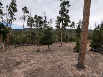 130 Natchez Cir, Red Feather Lakes, CO 80545