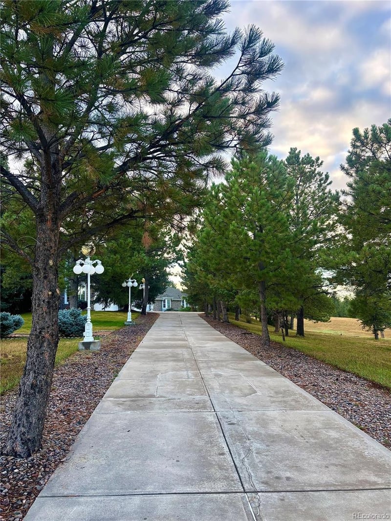 11421 Random Valley Cir, Parker, CO 80134