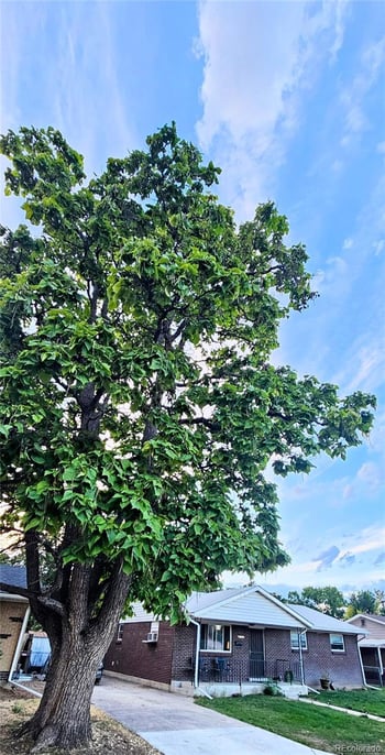 6721 Leyden St, Commerce, CO 80022