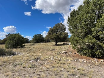 1566 Rocky Mountain Trl, Crestone, CO 81131