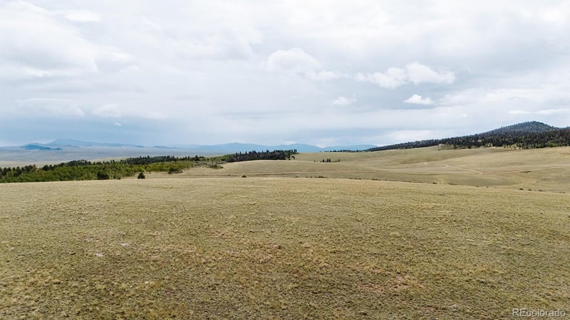 1255 Bolster Dr, Hartsel, CO 80449