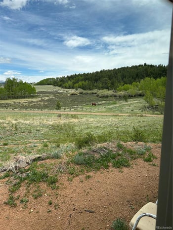 3153 Homestake Pl, Florissant, CO 80816