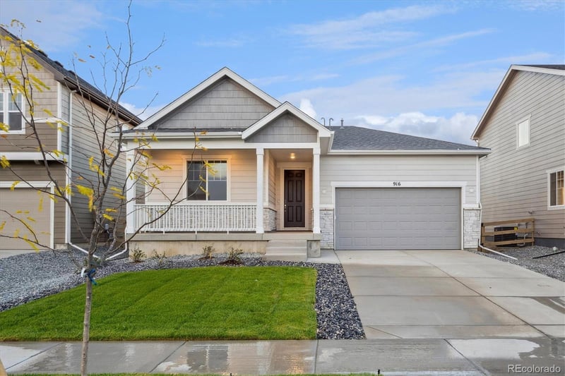 916 Steppe Ln, Windsor, CO 80550