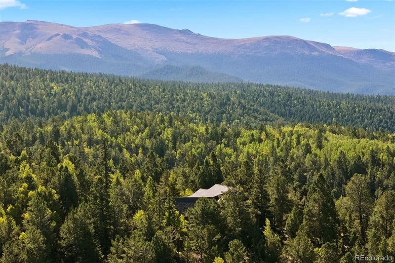 1010 Cantiberry Rd, Divide, CO 80814