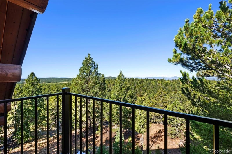 1010 Cantiberry Rd, Divide, CO 80814