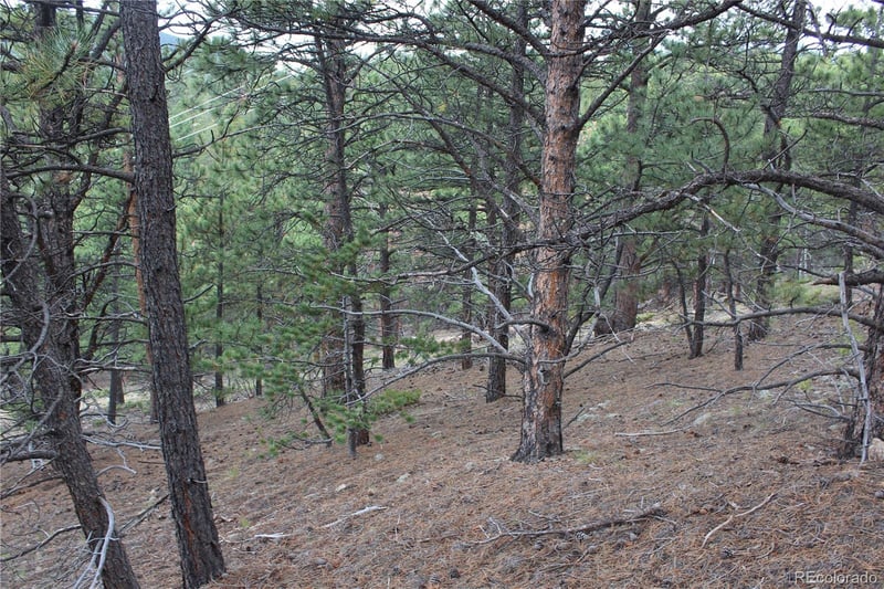 00 Golconda Mine Rd Lot 599, 16671, 16671b, Central City, CO 80427