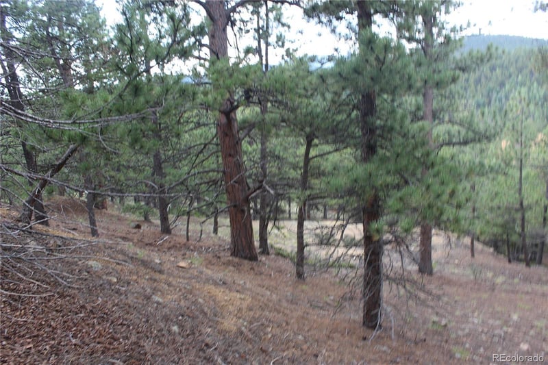 00 Golconda Mine Rd Lot 599, 16671, 16671b, Central City, CO 80427